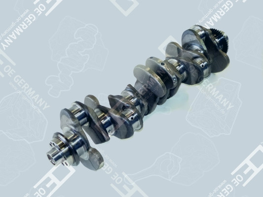 CRANKSHAFT 010300906001